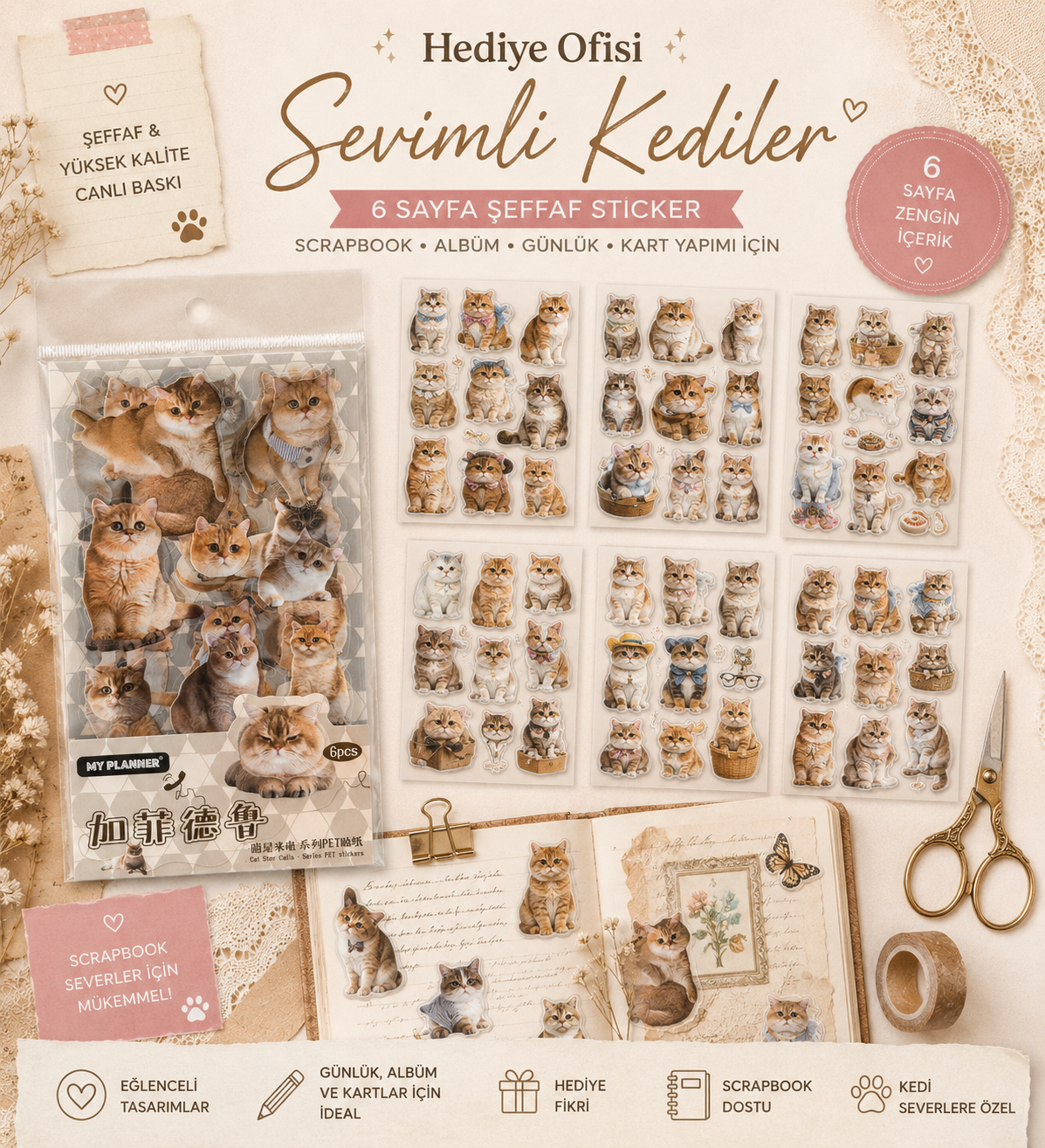 Kedi Sticker 6 Sayfa Şefffaf
